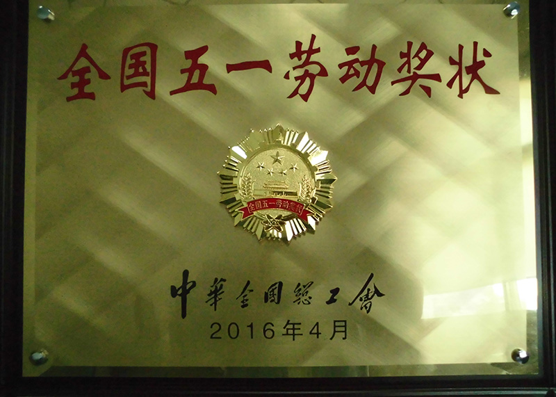 CIMG1837-01.jpg